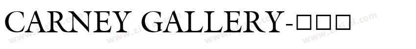 CARNEY GALLERY字体转换